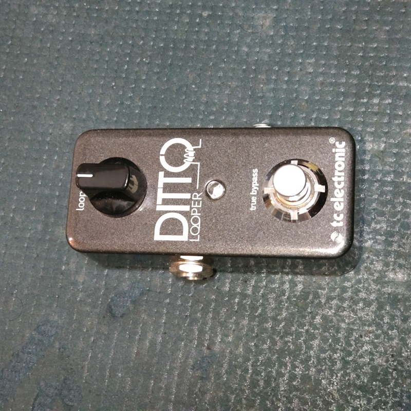 tc electronic Ditto Looperの画像